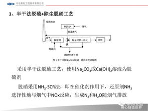 活性炭脱硫脱硝工艺流程图