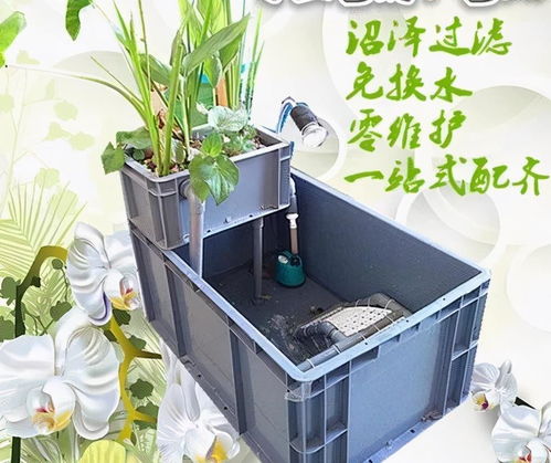 陶瓷环和细菌屋能一起用吗