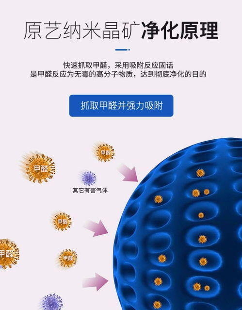 活性炭去车内异味根本没有用