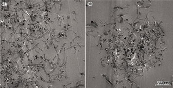 高温后碳纳米管水泥基复合材料