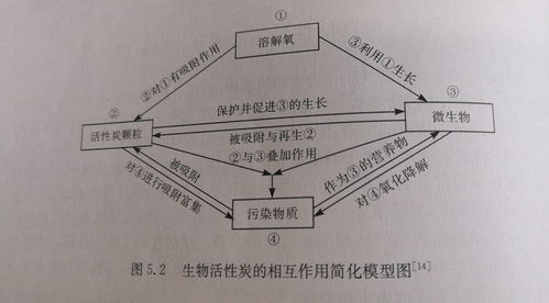 深圳木质活性炭原理公司